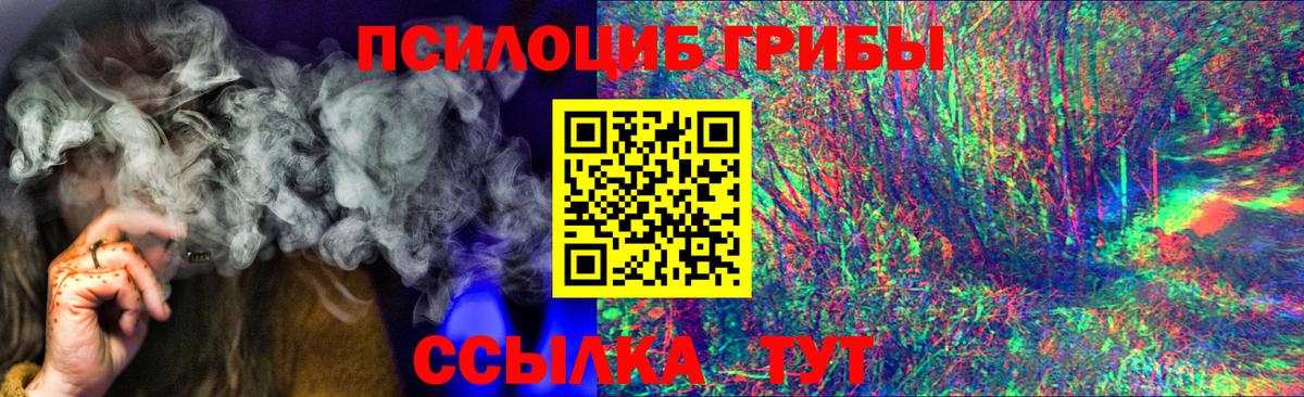 Псилоцибиновые грибы Psilocybine cubensis Зима